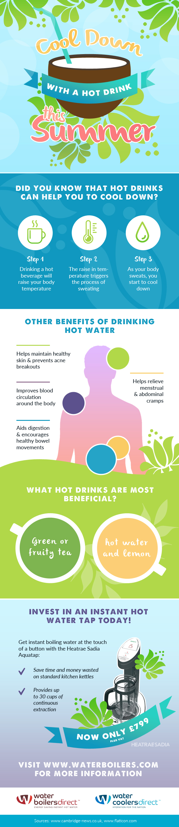 Hot Drinks Infographic